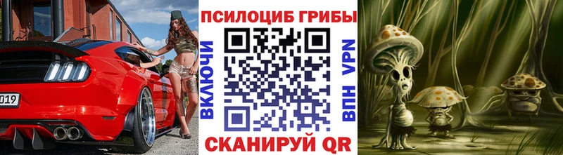 хочу   Слюдянка  Галлюциногенные грибы Magic Shrooms 
